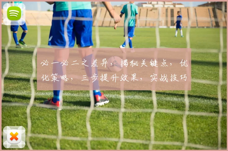必一必二之差异，揭秘关键点，优化策略，三步提升效果，实战技巧分享